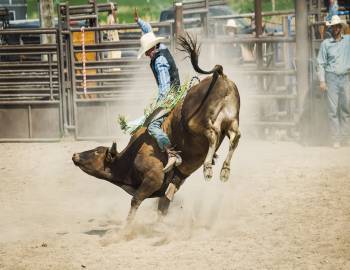 man getting bucked off a bull at the rodeo