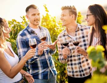 friends enjoying glasses of wine in a vineyard