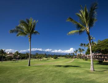 Ka’anapali Kai Course