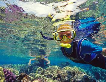 two people snorkeling in a reef