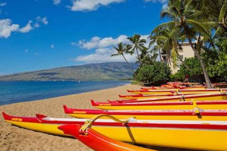 yellow and red kayaks lined up on the beach