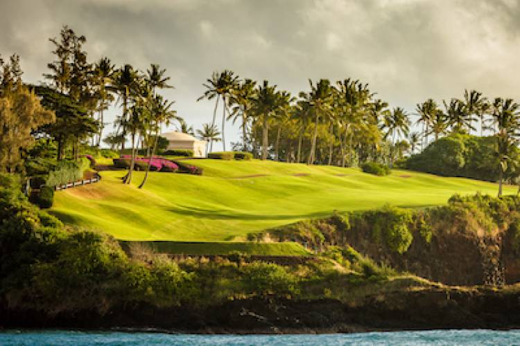 golf course in hawaii with palm trees and water in the foreground 