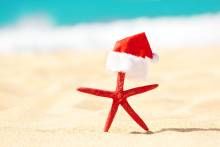 starfish stuck upright in sand with a santa hat on top and ocean in background