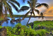 Palm trees and ocean view on Maui