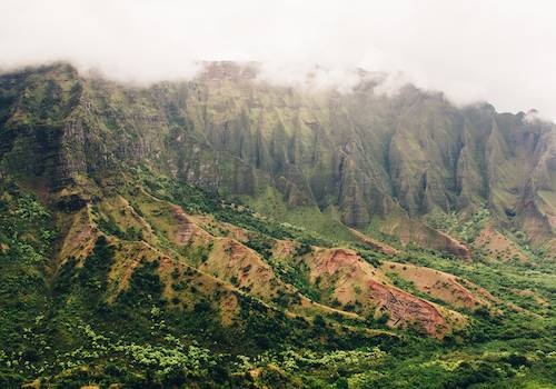 foggy mountain range in Hawaii