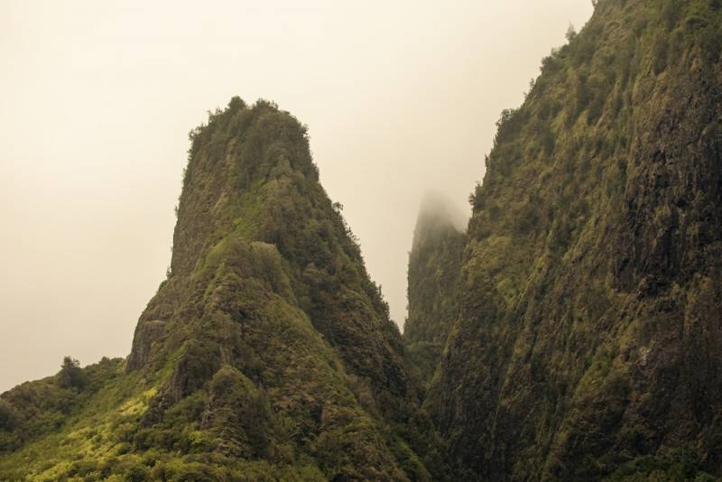 Maui foggy mountain