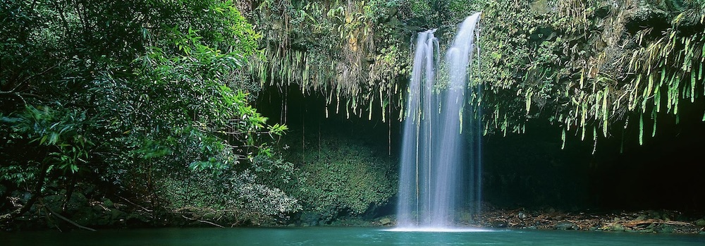 A waterfall on Maui