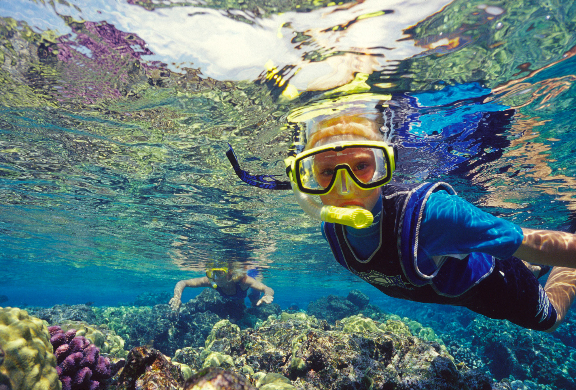 two people snorkeling in a reef