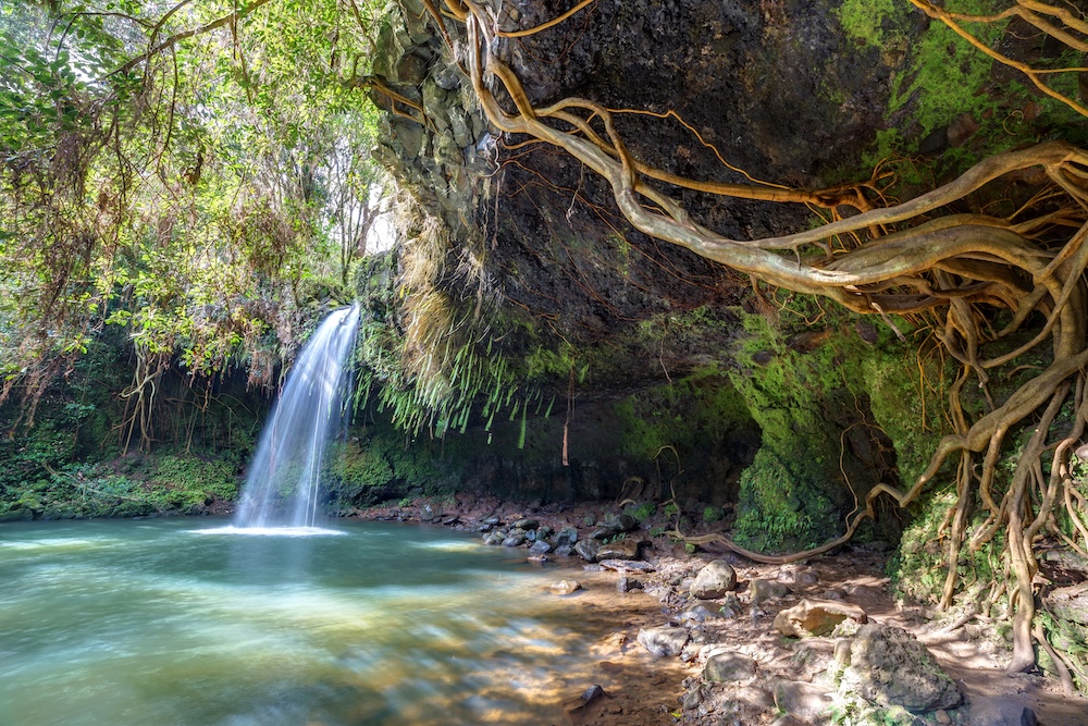 Twin Falls Maui