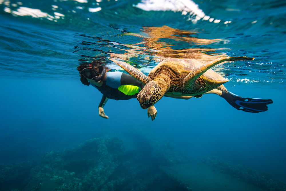 woman snorkeling with a sea turtle