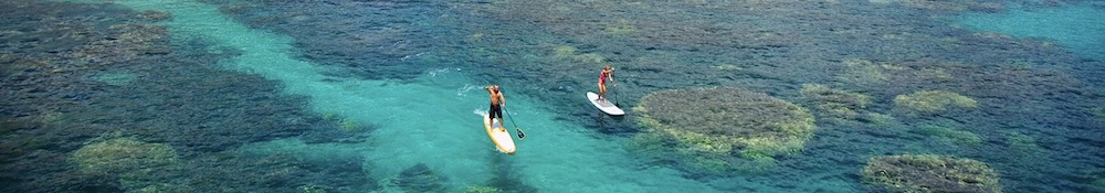 A couple paddles over a coral reef