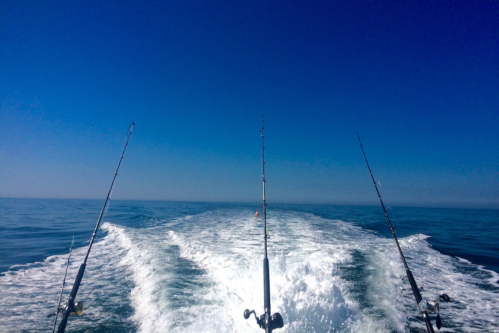 charter fishing boat with three poles anchored off the back end