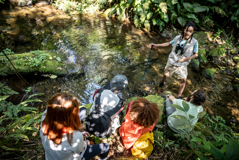 guide talking to a group on a nature tour through a forest