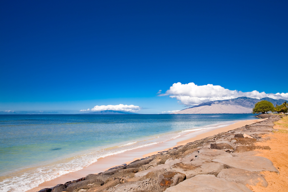 Kalama Park, Kihei