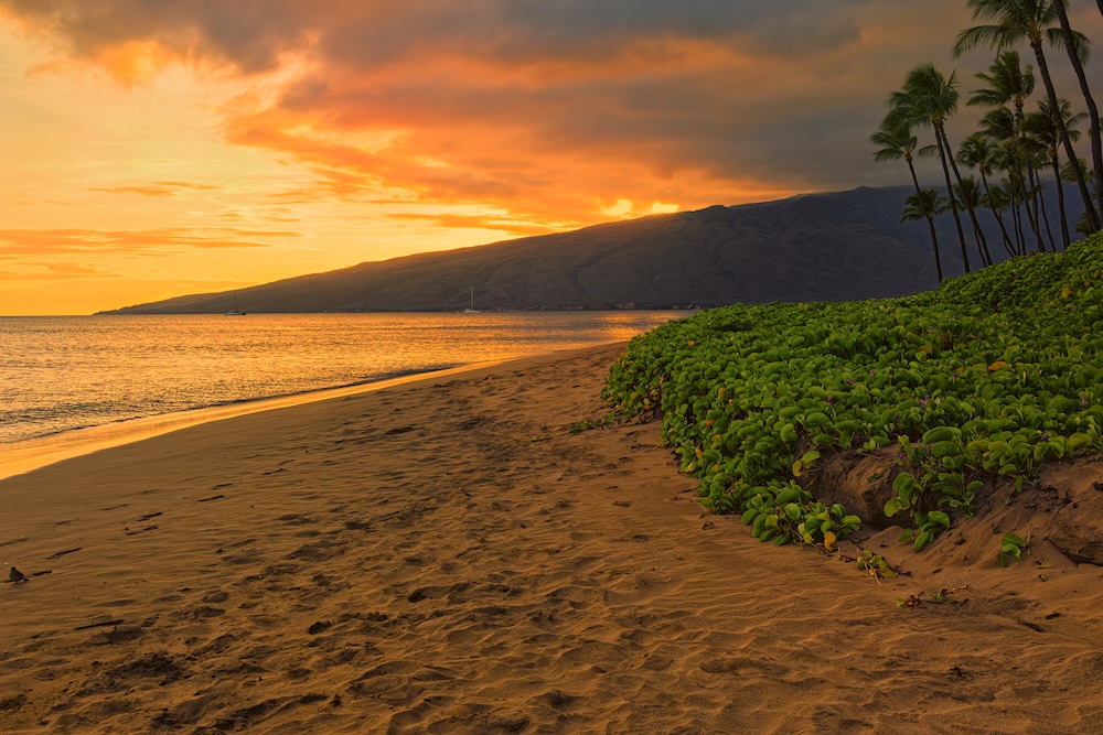 Sugar Beach in Maui at sunset. 
