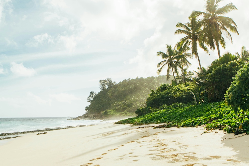 Beach in Hawaii